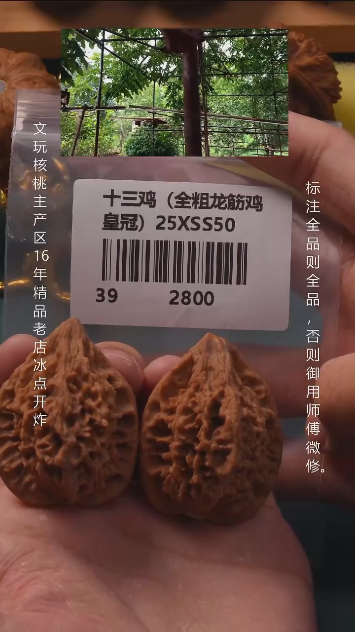 吊坠文玩核桃.39十三陵鸡心【全品】5号