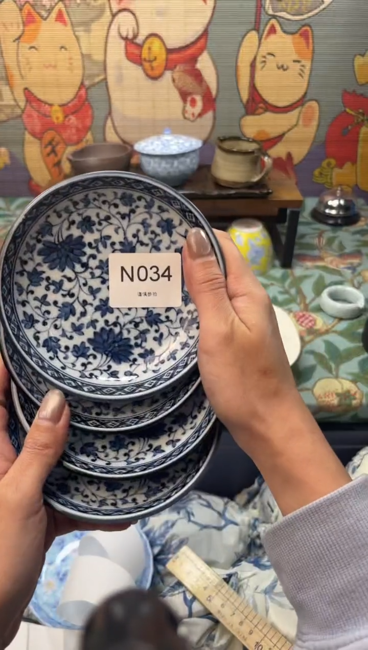 瓷片最**虫     N034