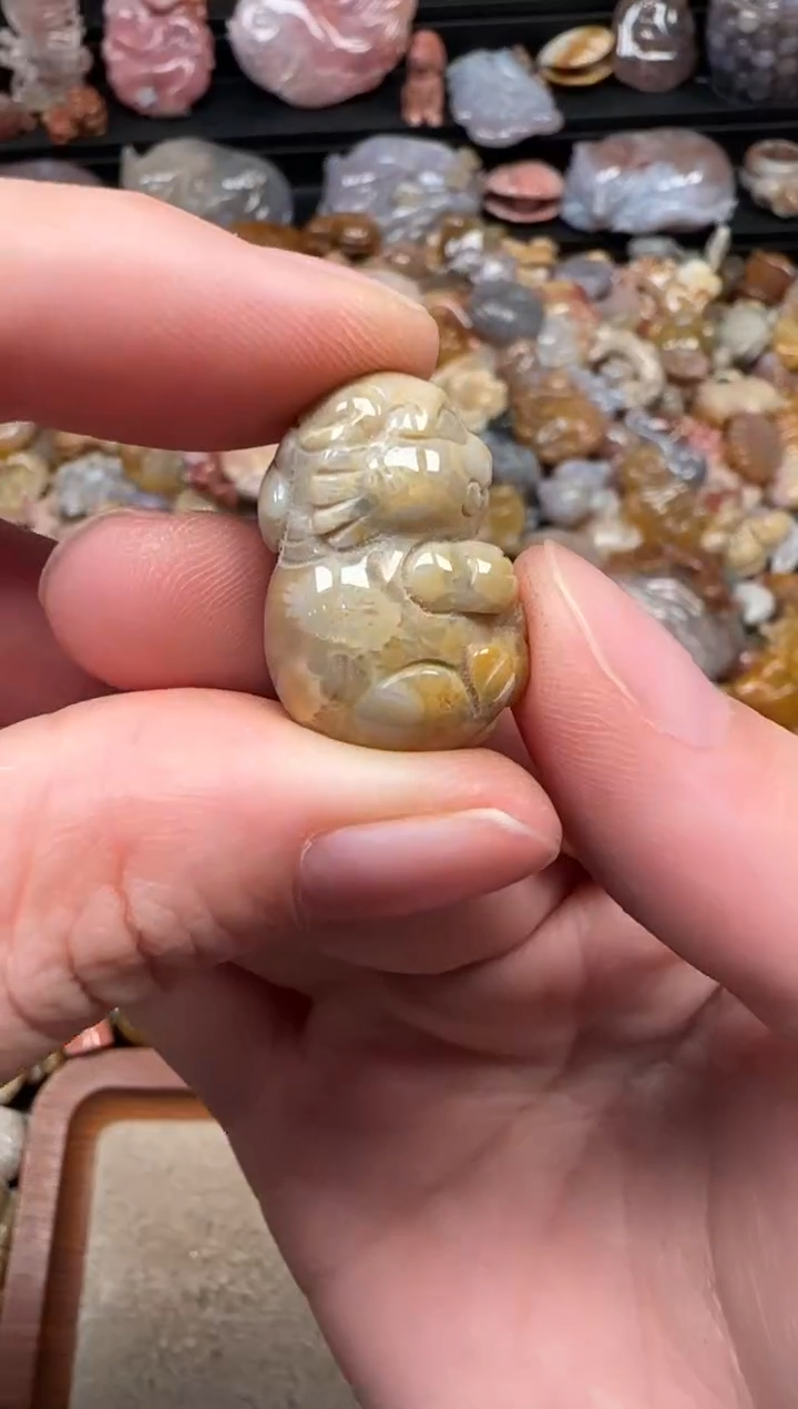 颈饰未镶嵌硅化珊瑚（珊瑚玉）083