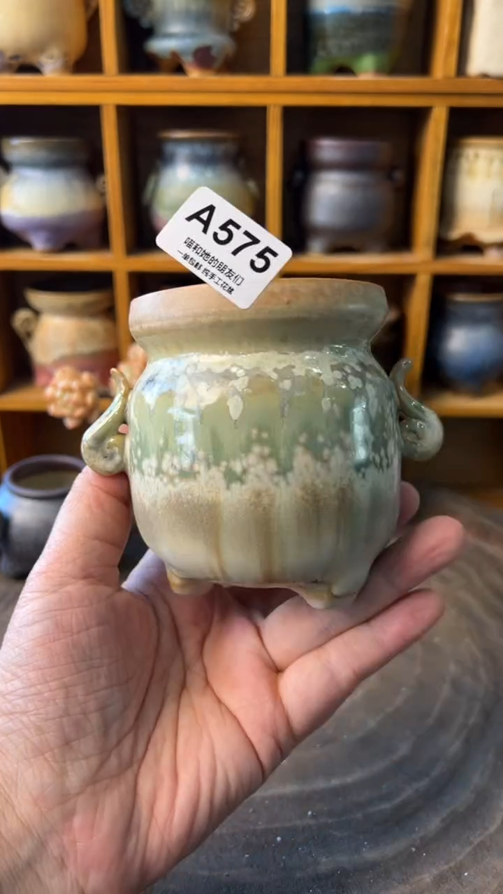 575 内口7【多肉花盆多肉盆】