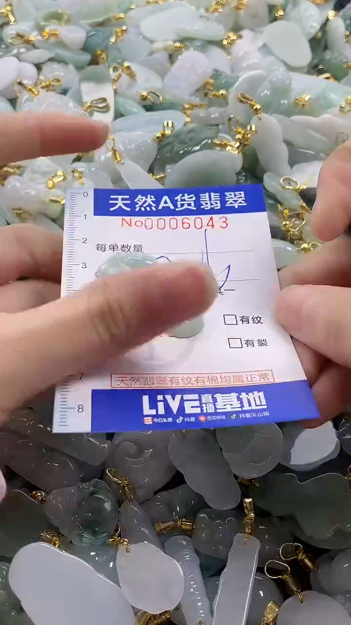 颈饰未镶嵌翡翠纯天然a货翡翠
