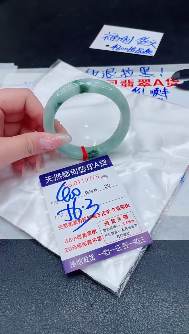 未镶嵌手镯翡翠1