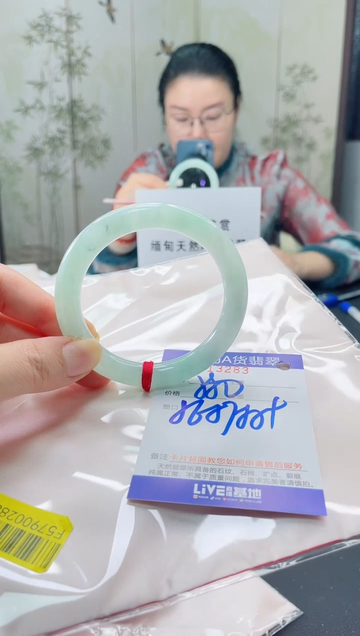 未镶嵌手镯翡翠2