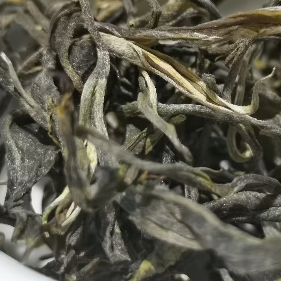 592号2024年邦东草籽地古树头春（春）普洱生茶散料