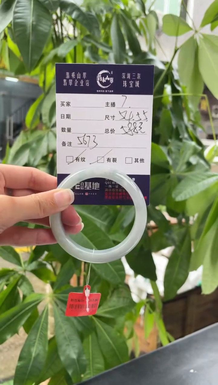 未镶嵌手镯翡翠Q 54正圈 5673