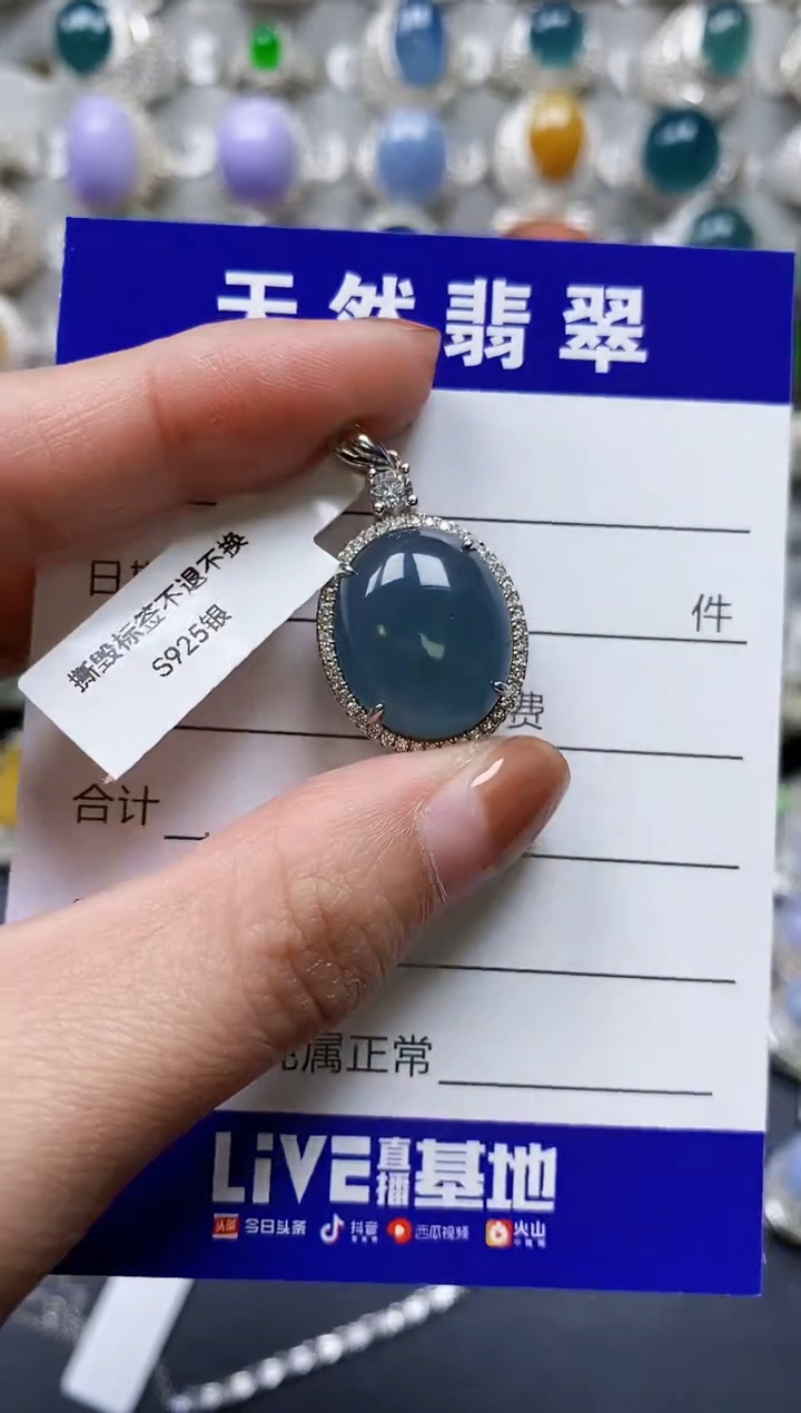 【闪购商品】翡翠颈饰银S925镶嵌0630