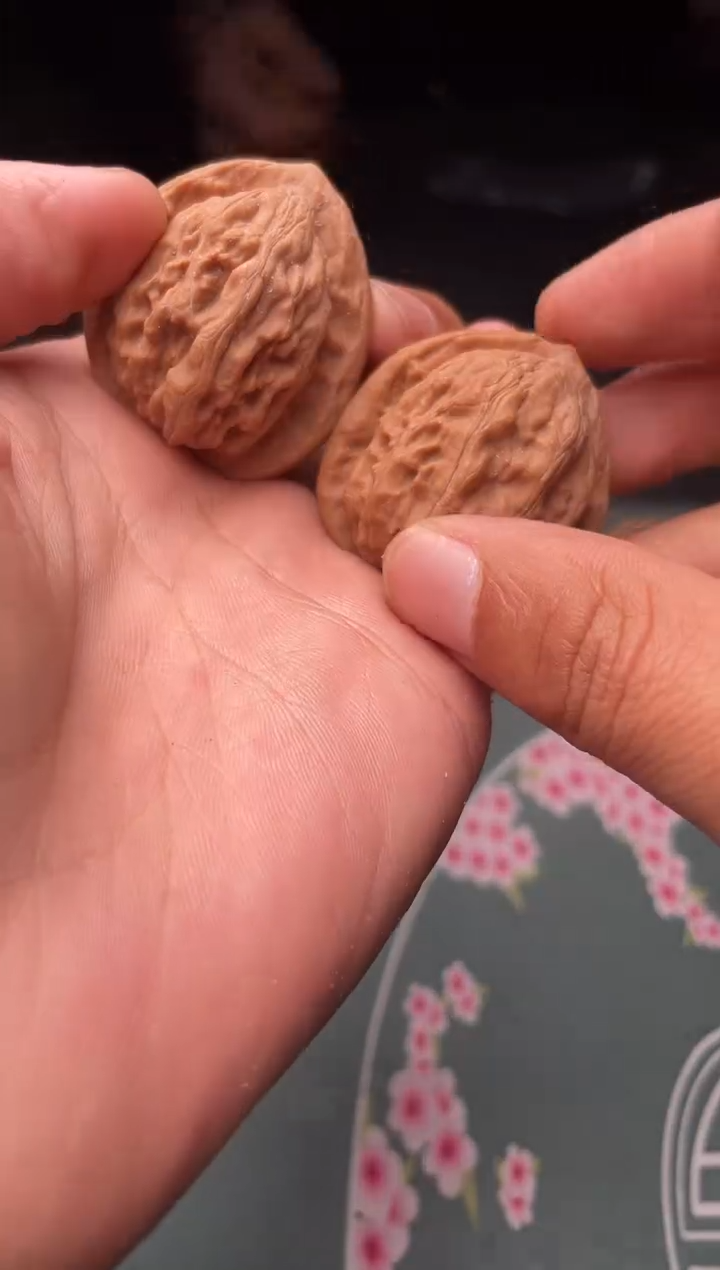 核桃a368  大红袍 36尺