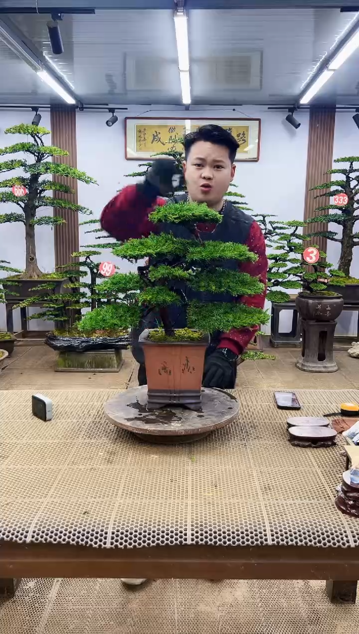 【闪购商品】0000000000