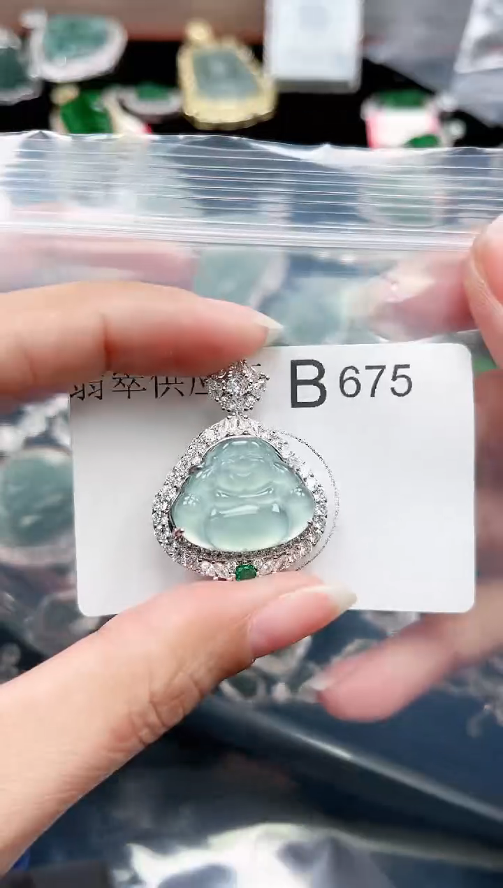 【闪购商品】翡翠颈饰未镶嵌赠皮绳675