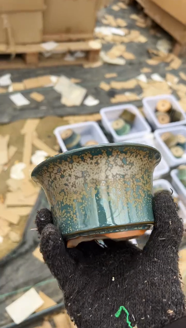 小*熊54号一个微瑕的