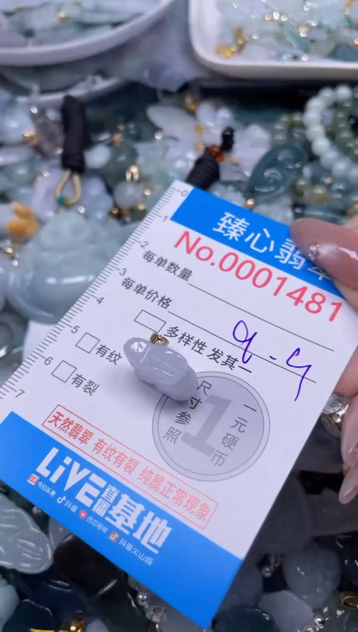 颈饰未镶嵌翡翠1481