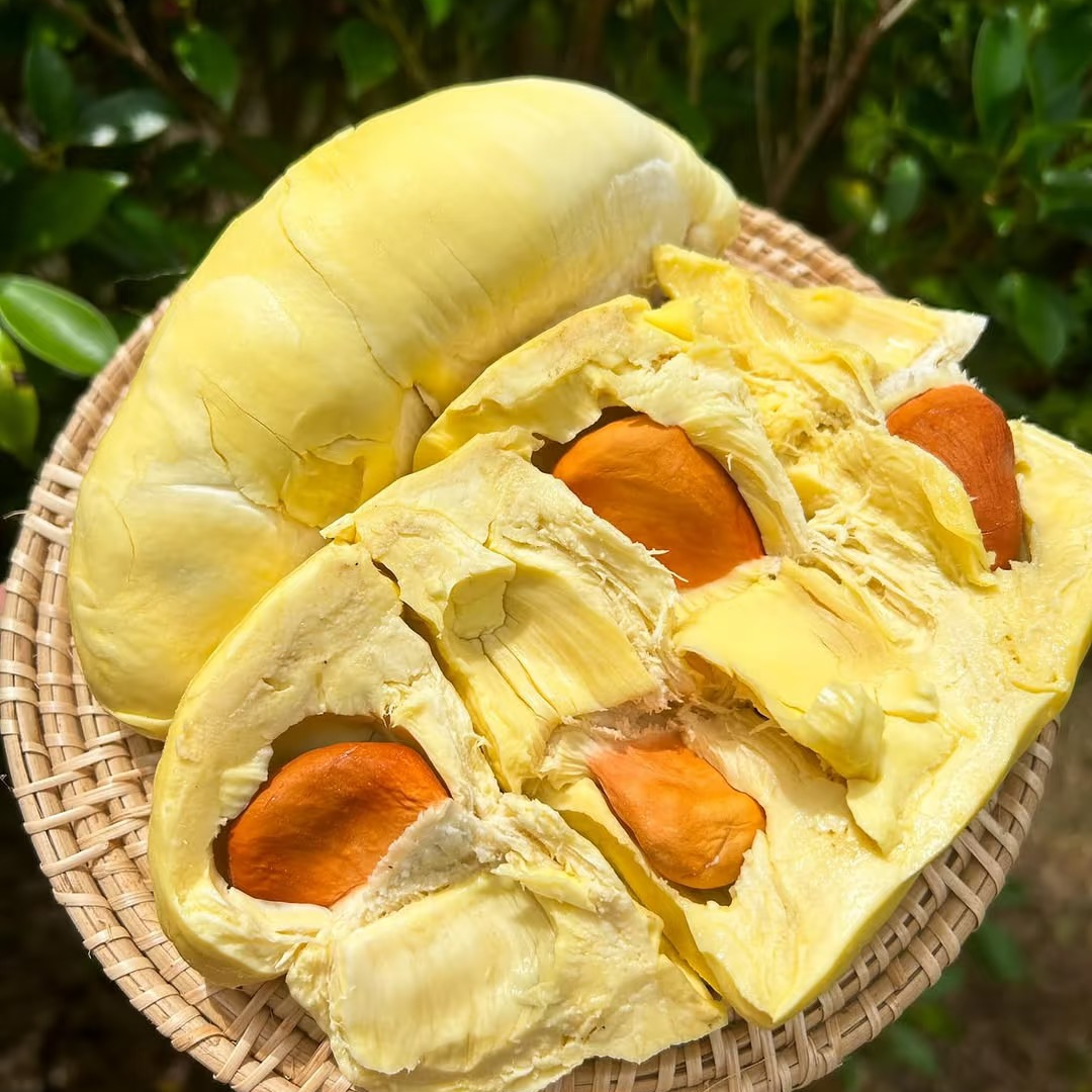 【哈拉秀严选】“泰狼”泰国树熟金枕榴莲2-11斤整果