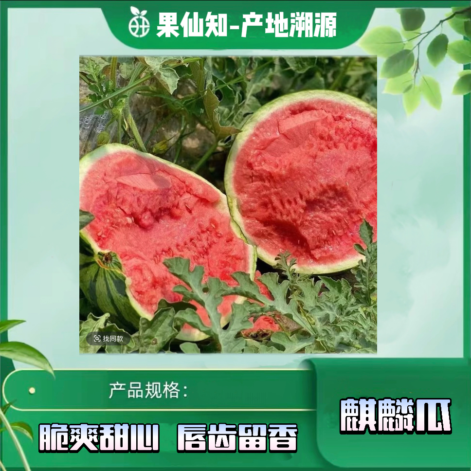 【手挑特级无籽麒麟瓜-6-8斤/颗】云南省
