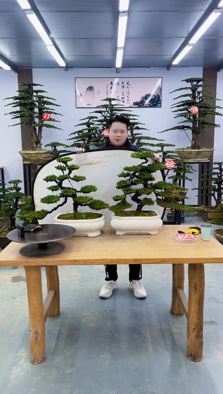 以实际为准000000000