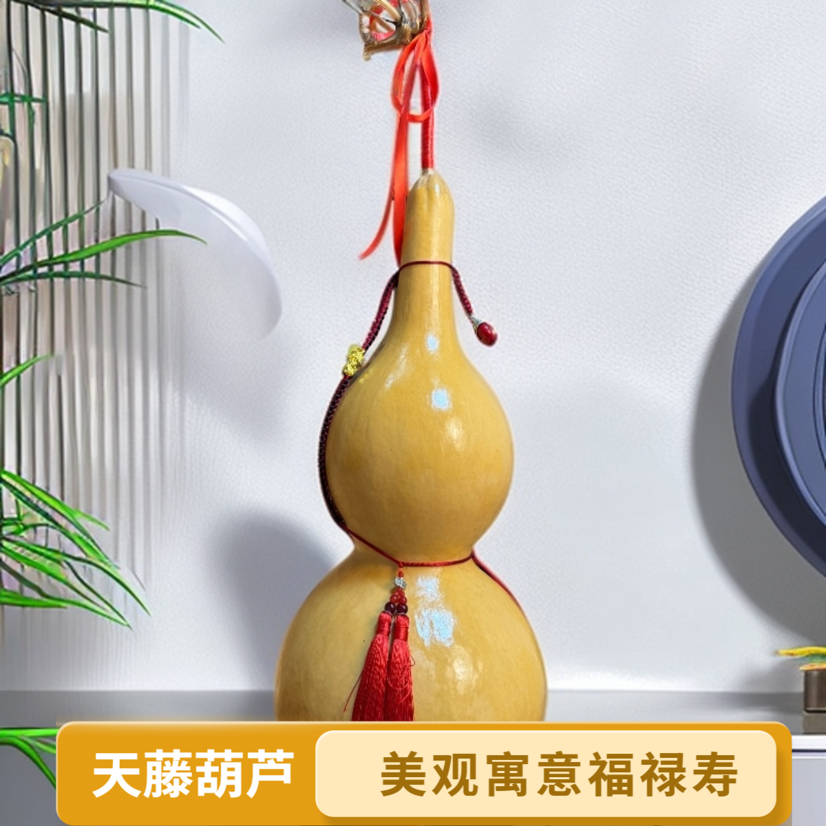 天然精品大葫芦，一物一拍