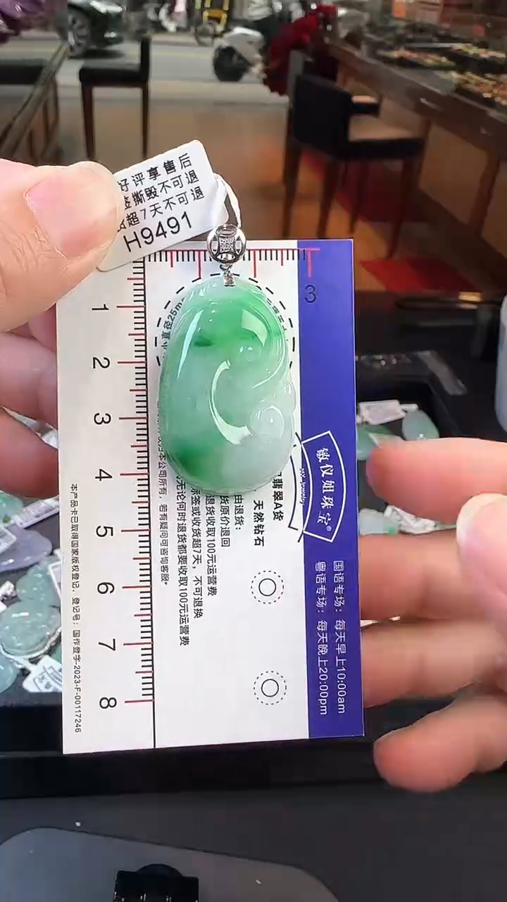 【闪购商品】翡翠颈饰18K金镶嵌H9491飘绿如意