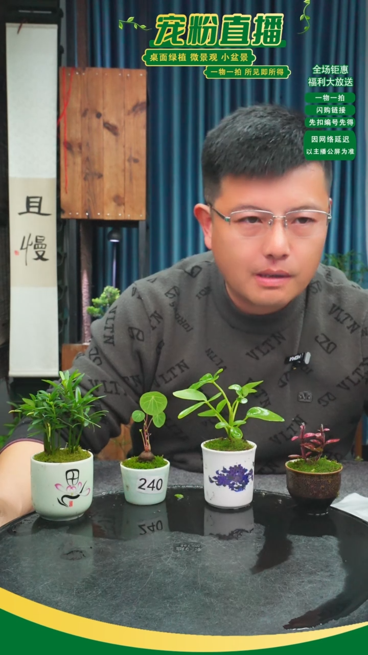 无花朵三**?苔藓微景观240号