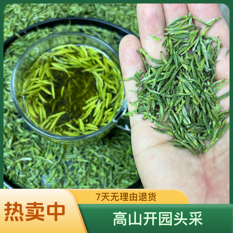 安徽茗茶黄山绿茶毛峰 25年新茶 高山开园头采 