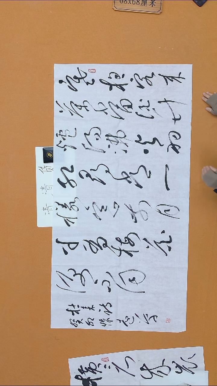 书法陈怀远 甘肃 草书 68*138   八平尺 