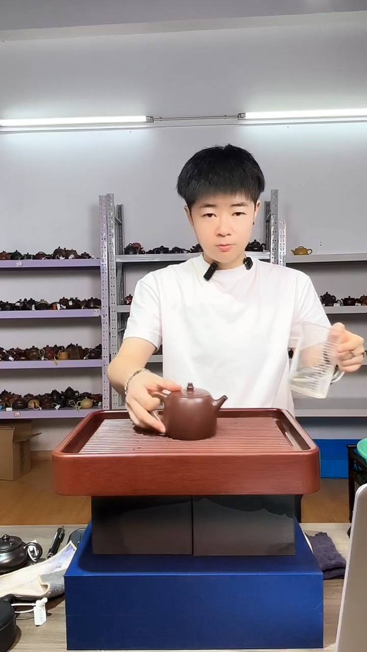 茶壶紫砂紫罗兰光素汉铎（2）