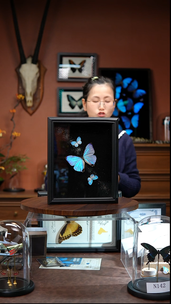 Z230   夜明珠闪蝶组合银河款  微瑕  拍下不退不换