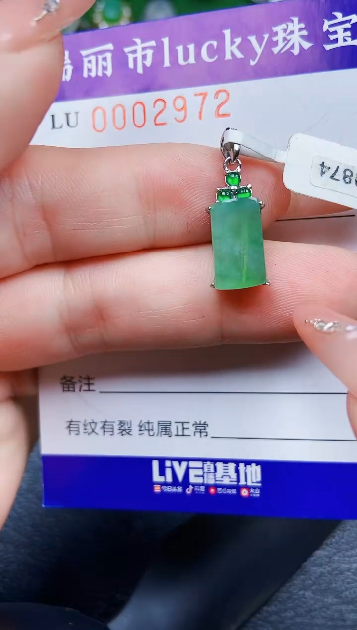 【闪购商品】翡翠颈饰银S925镶嵌2972