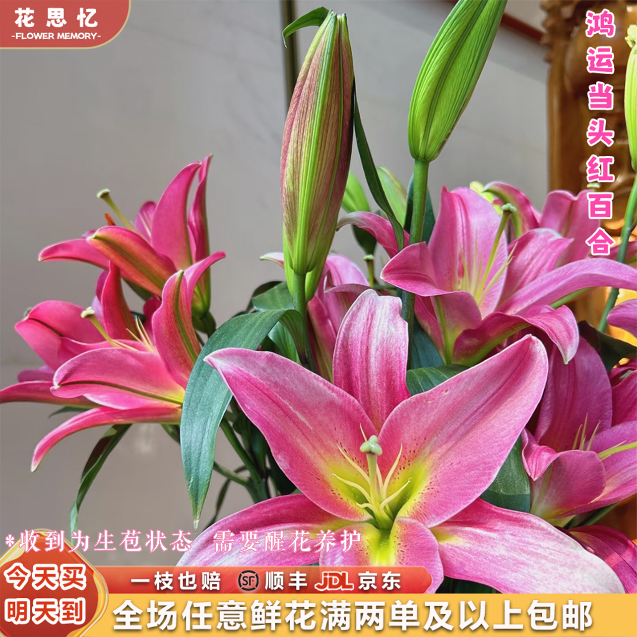 『次日达·鸿运当头红百合8-9朵』 家用云南鲜切花 满两单鲜花顺丰京东包邮 满三单送花瓶 鲜花直播次日达包邮