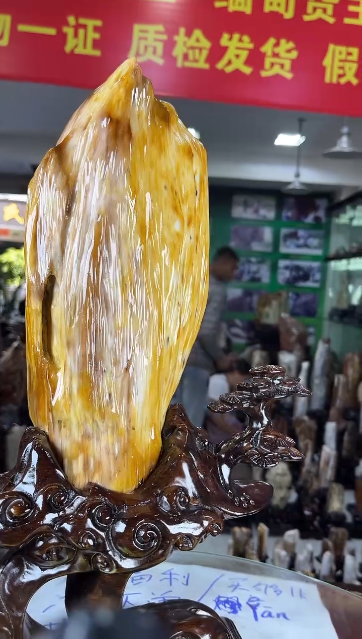 缅甸天然树化玉精品居家摆件