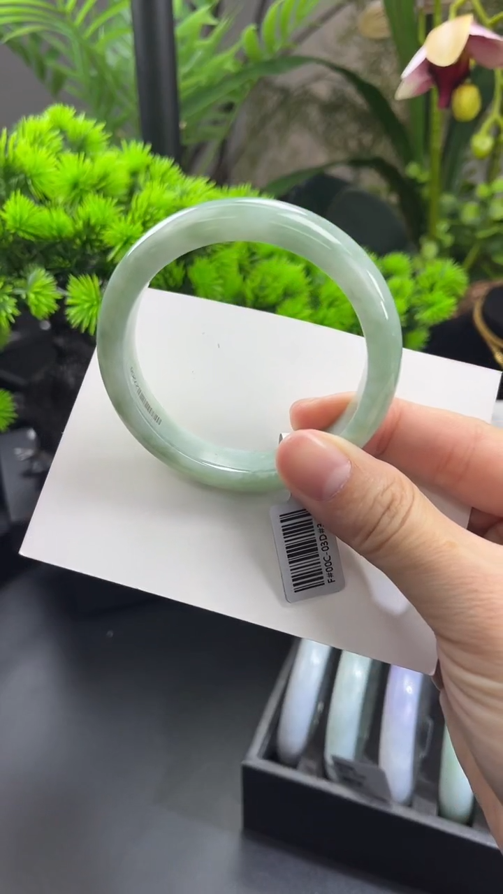 【闪购商品】翡翠手镯未镶嵌54正圈