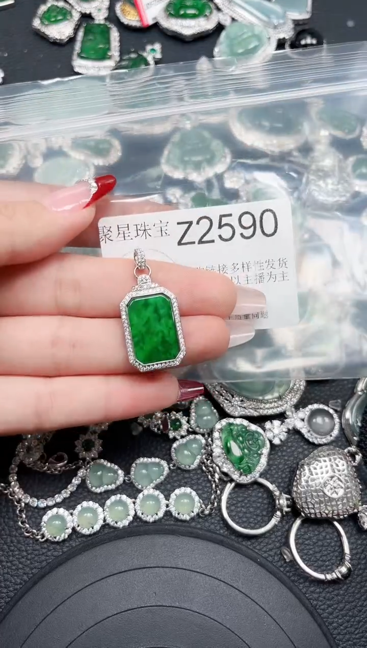 【闪购商品】翡翠颈饰未镶嵌赠皮绳2590