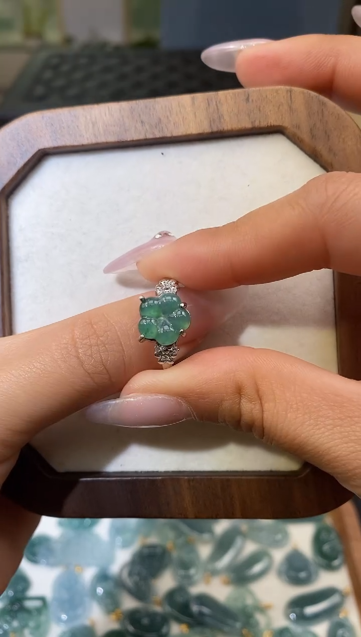 【闪购商品】翡翠戒指未镶嵌天然A货翡翠（多样性发一） 