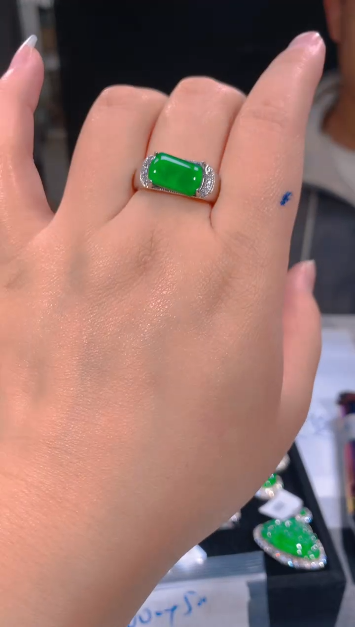 【闪购商品】定制翡翠未镶嵌76多样性发货（发其一）