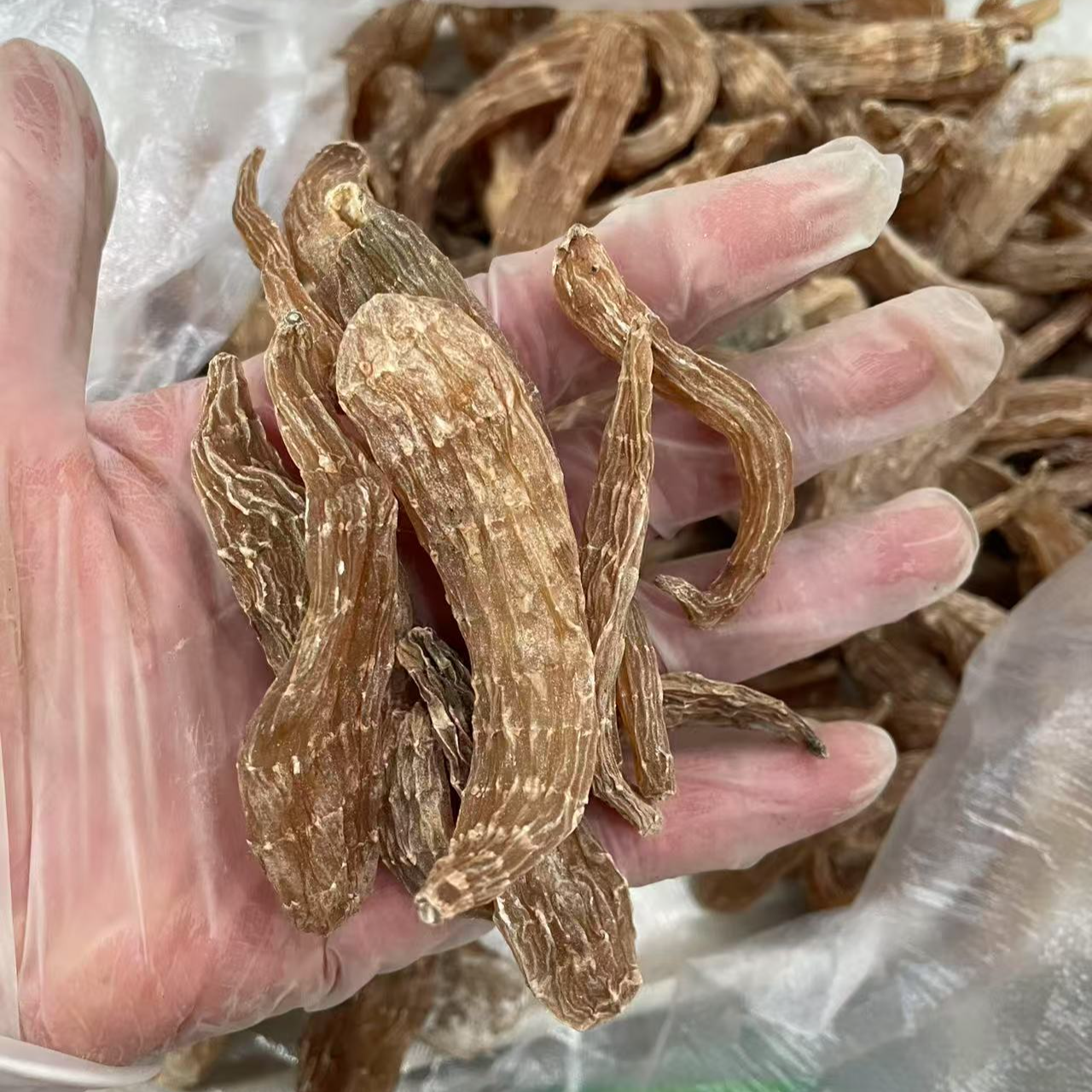 长白山山天麻食用滋补煲汤精选无硫