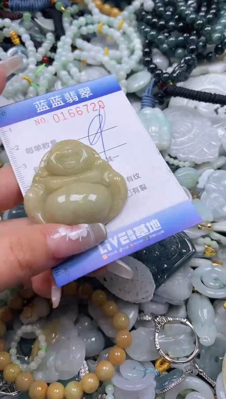 【闪购商品】翡翠颈饰未镶嵌闪购0166720