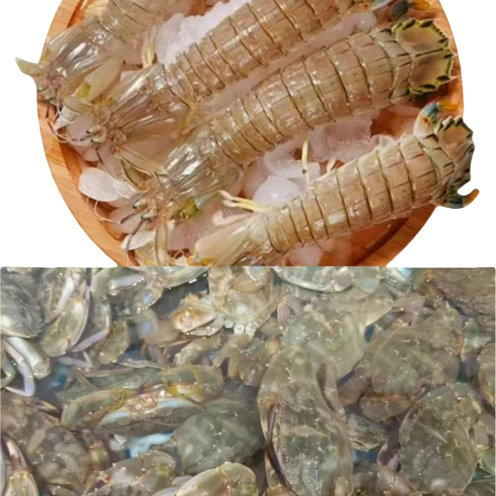 鲜活皮皮虾+花盖蟹混装【保鲜不保活】蟹0.5-2两左右1只，虾 1斤15-30条左右