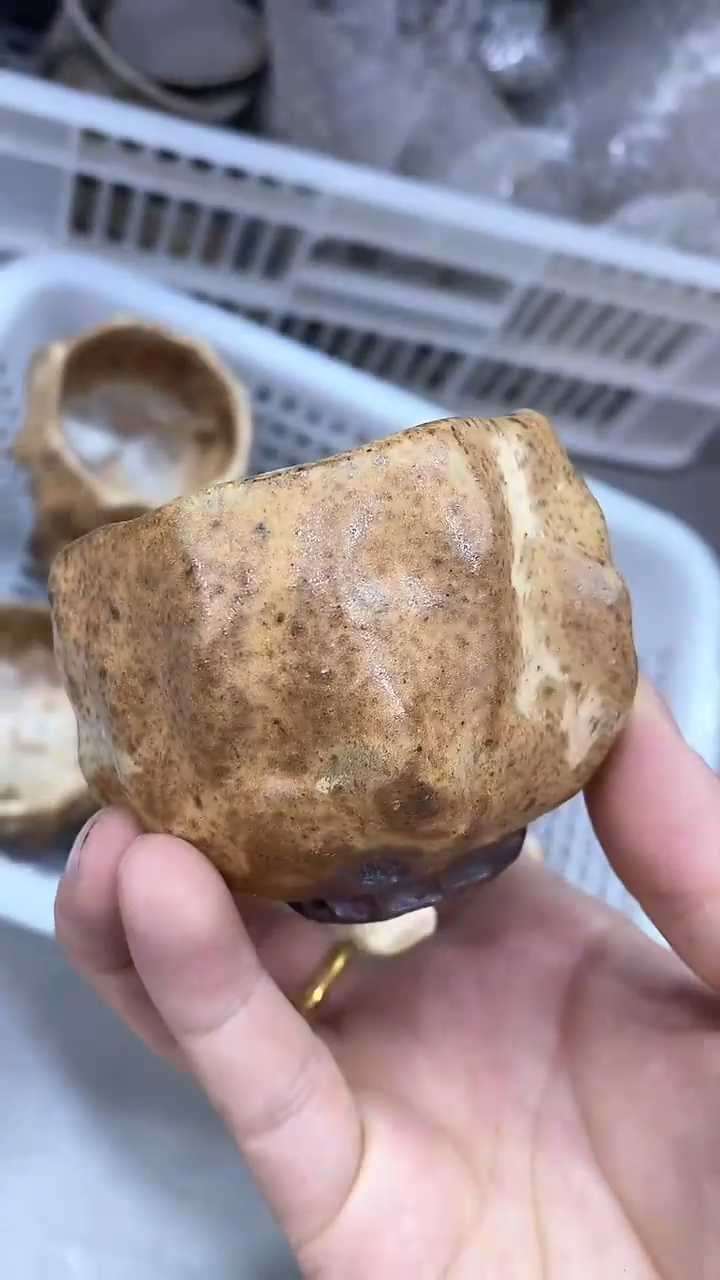 瓷片陶瓷茶器孤品D