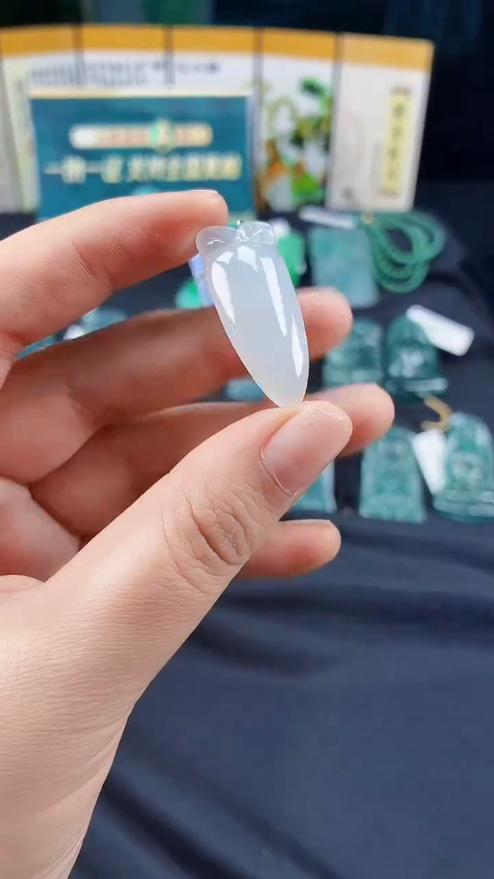 翡翠未镶嵌颈饰RS250801219