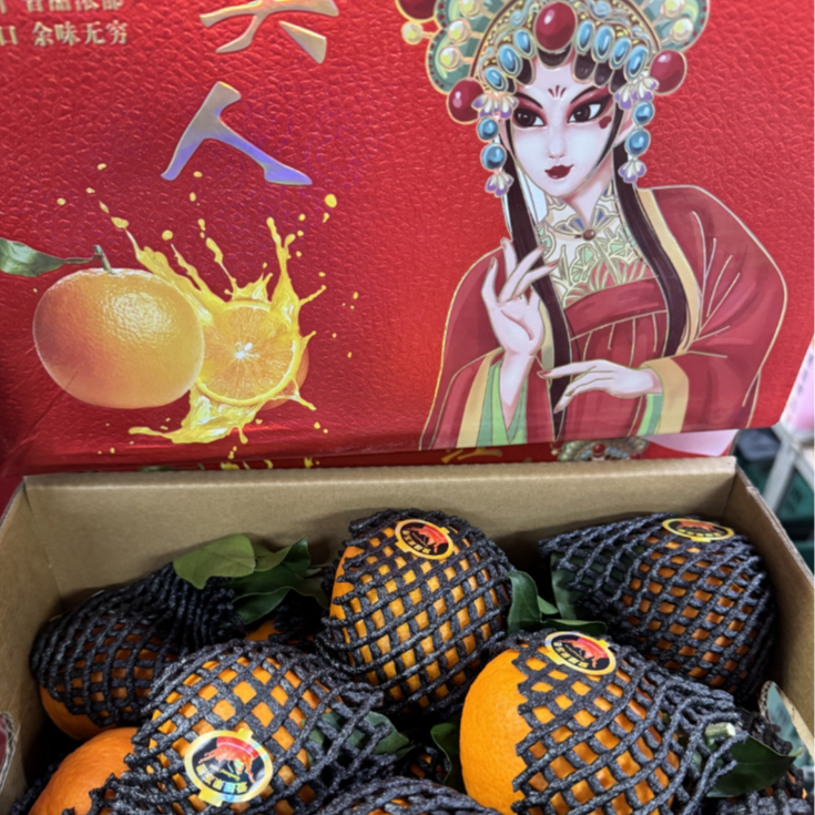 【韩大乐】红美人果冻橙一箱（净果8斤左右）