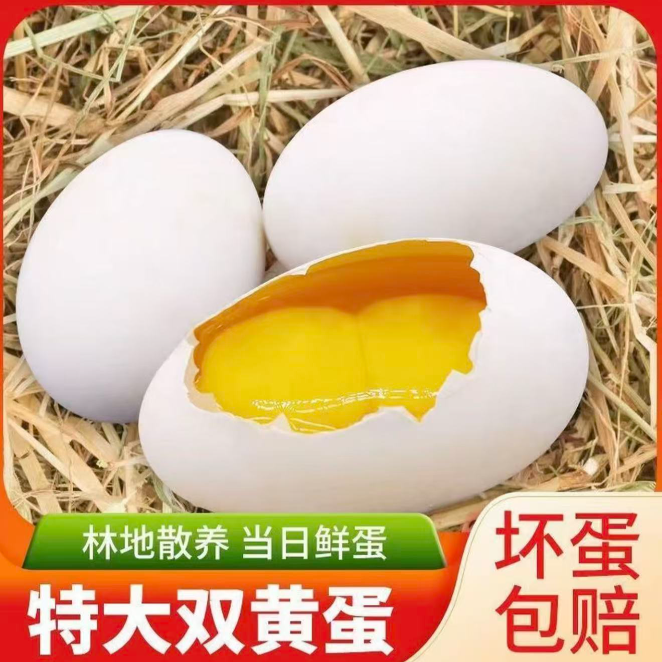 农家散养土鹅蛋新鲜双黄蛋特大号鹅蛋包邮120-160g12枚一箱生鹅蛋