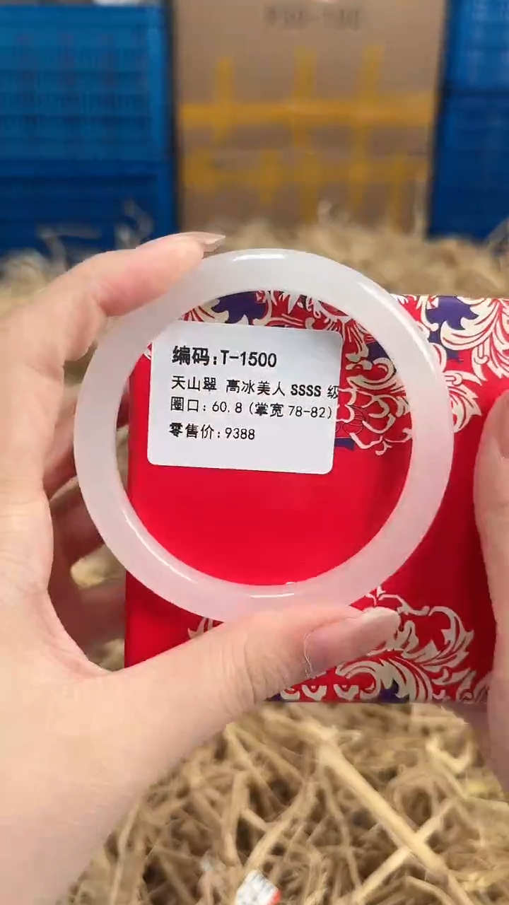 未镶嵌手镯石英质玉T-1500