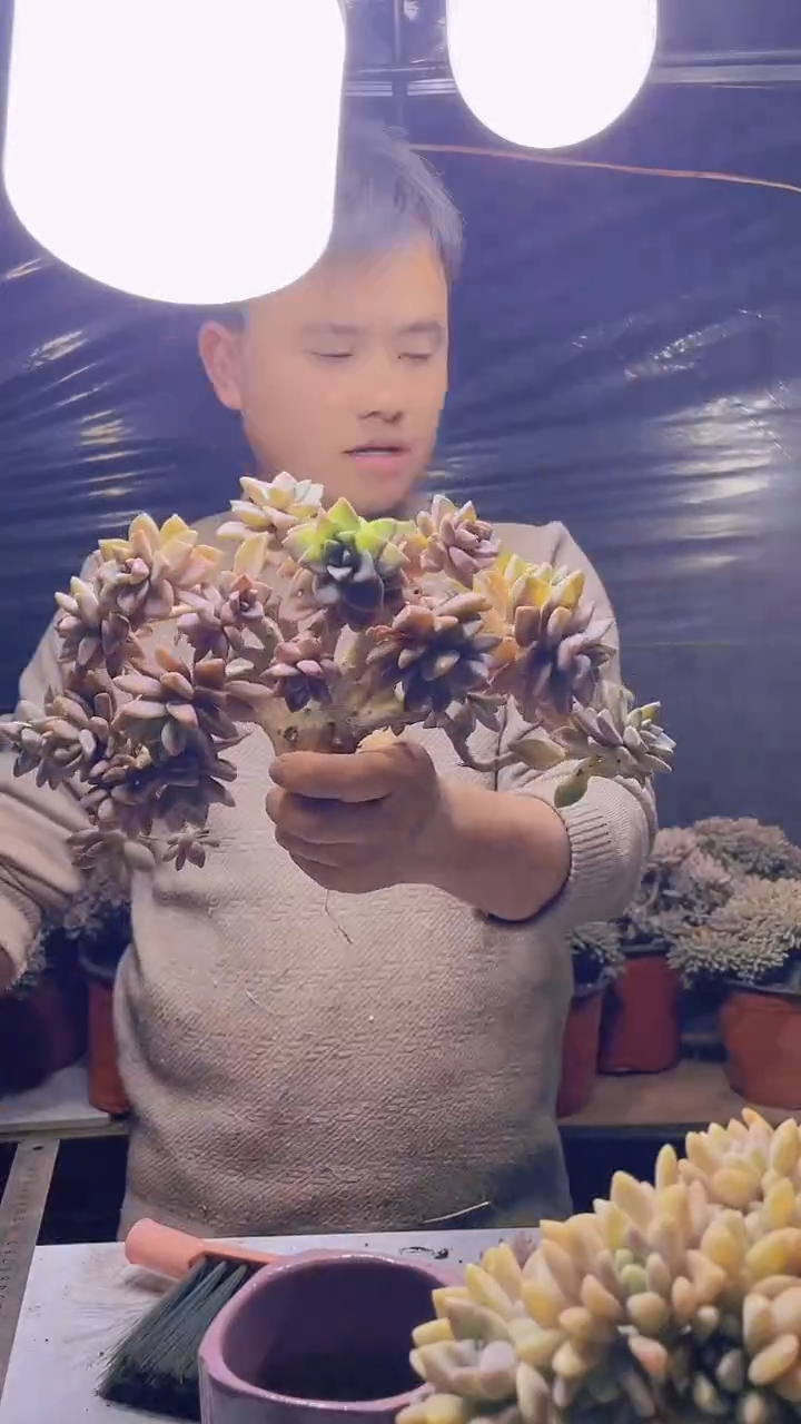 【闪购商品】缀化131