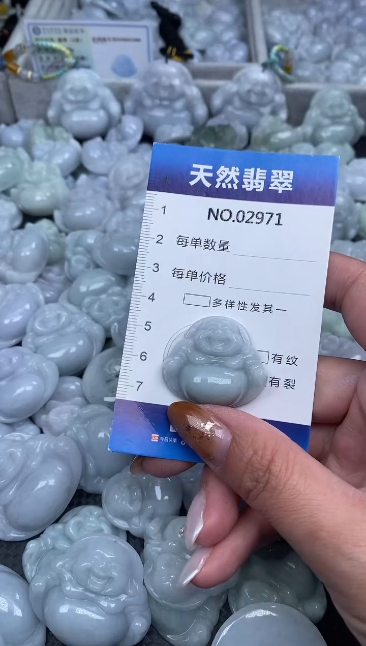 颈饰未镶嵌翡翠纯天然A货翡翠2971