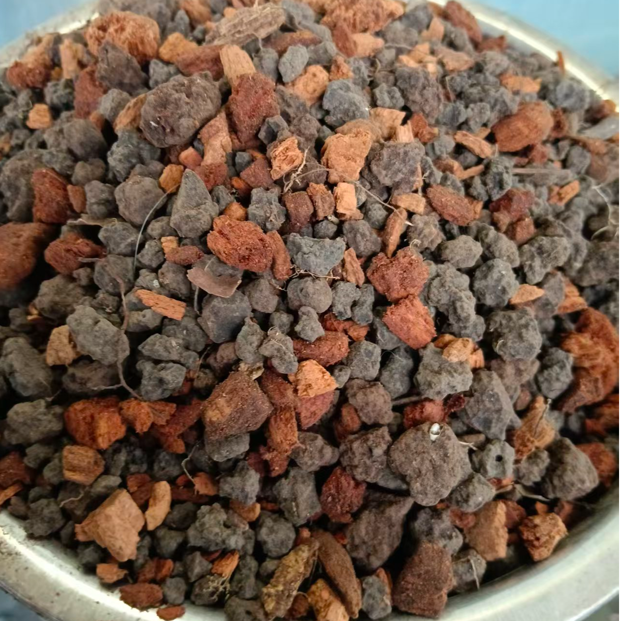 碳化松心加精品黑山土混合兰花专用植料 