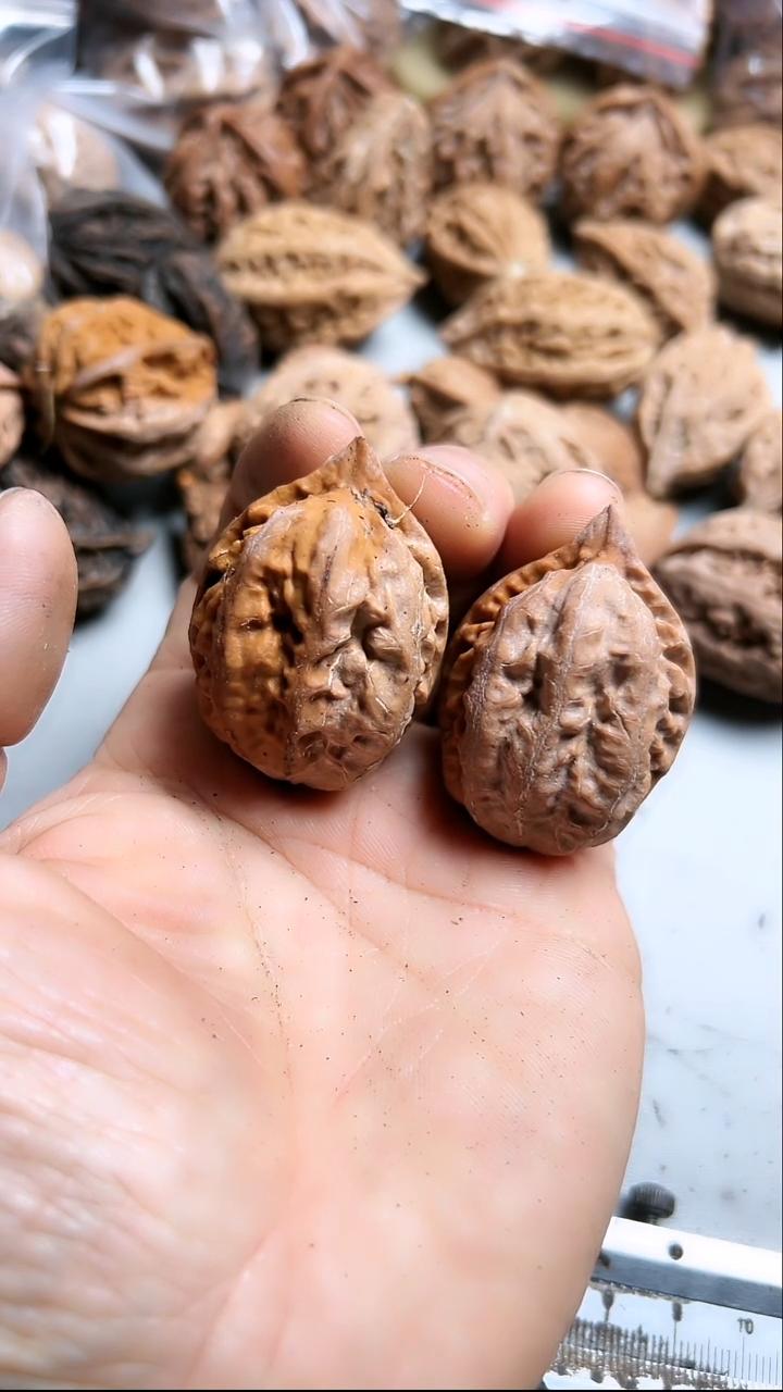 核桃东北野生大秋子5