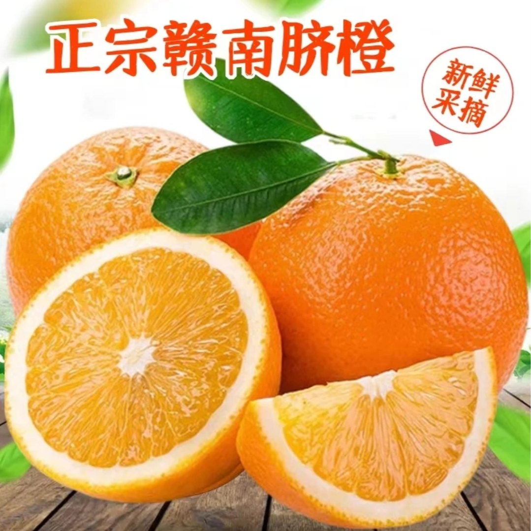 江西赣南脐橙【中果5斤】新鲜当季水果整箱产地直发可榨汁酸甜可口