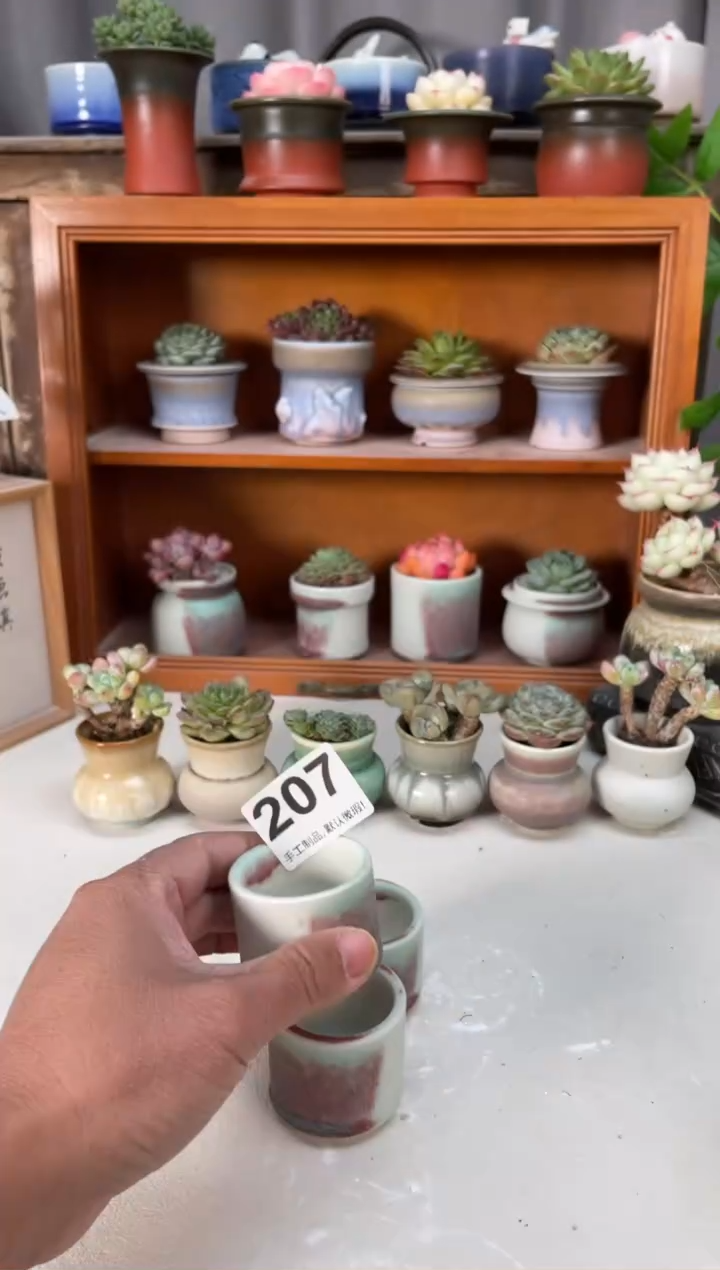 瓷片207小芳直播编号