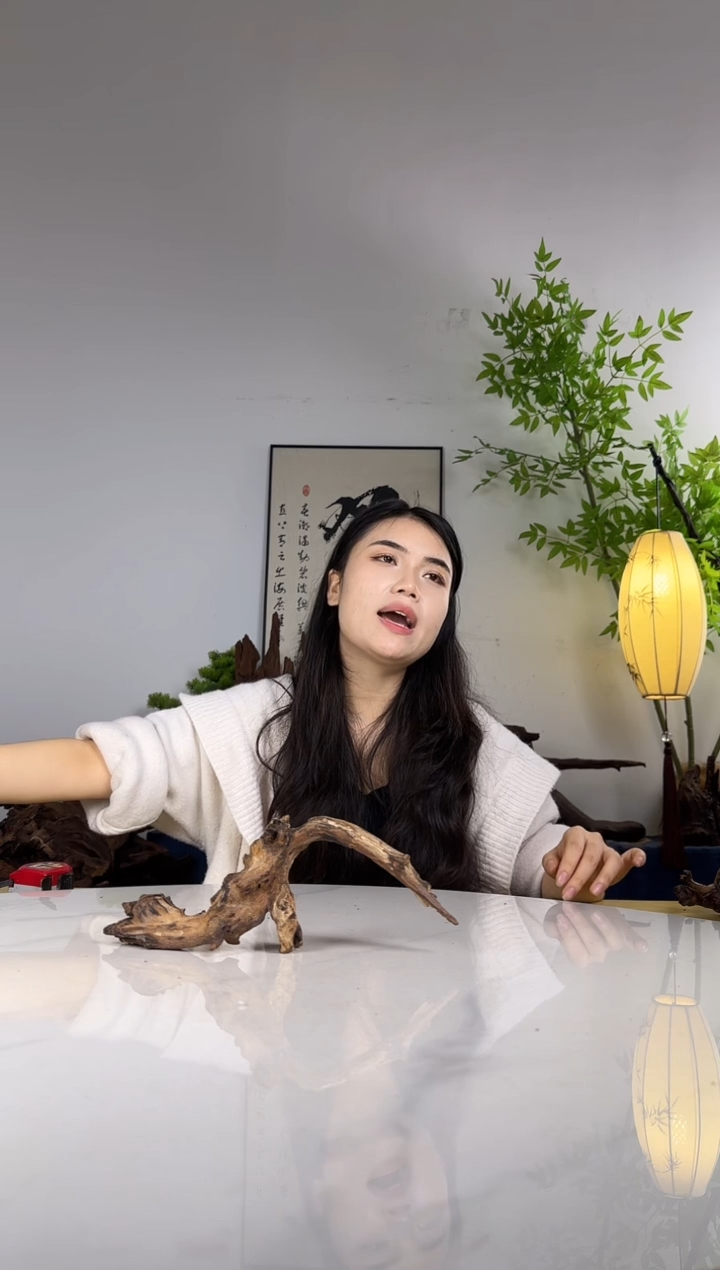 神****®拍沉木定向链接编号59