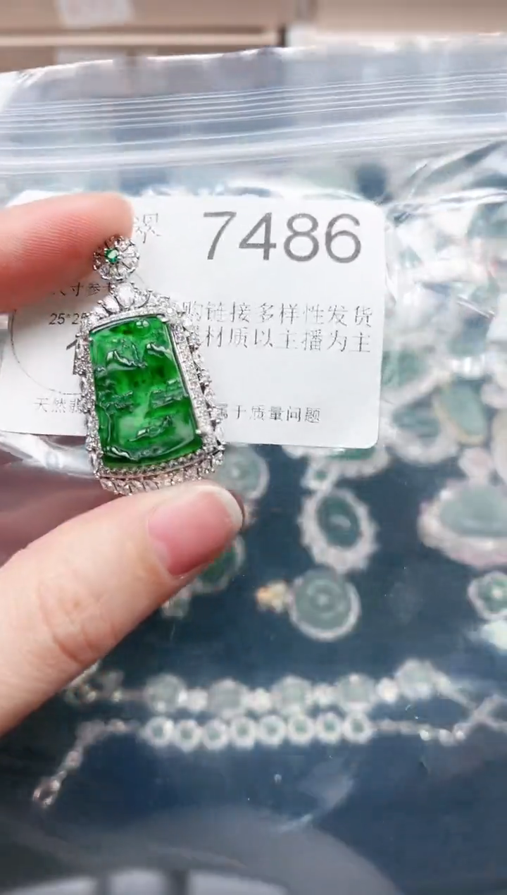 【闪购商品】翡翠颈饰未镶嵌7486赠皮绳