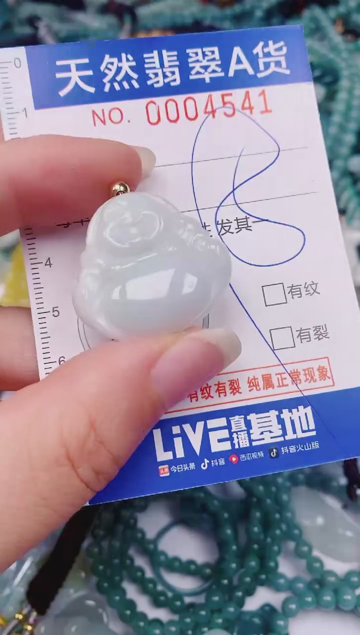 颈饰未镶嵌翡翠00004541