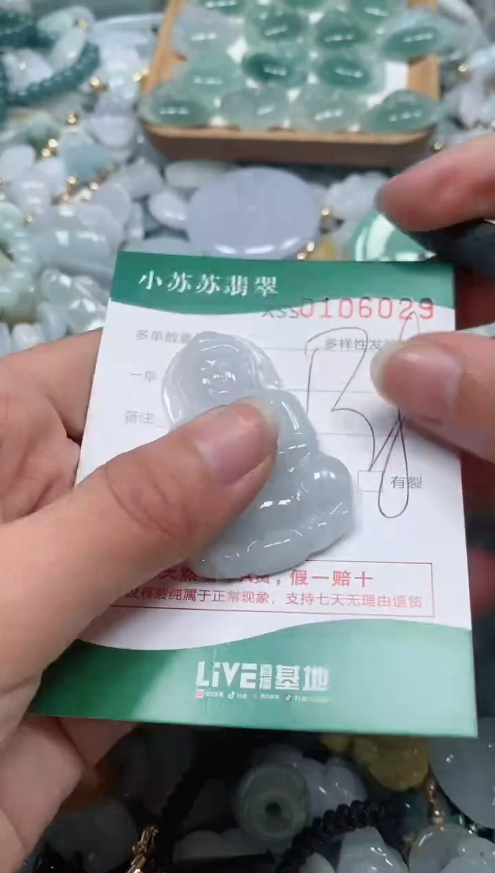 【闪购商品】翡翠颈饰未镶嵌闪购商品0106029